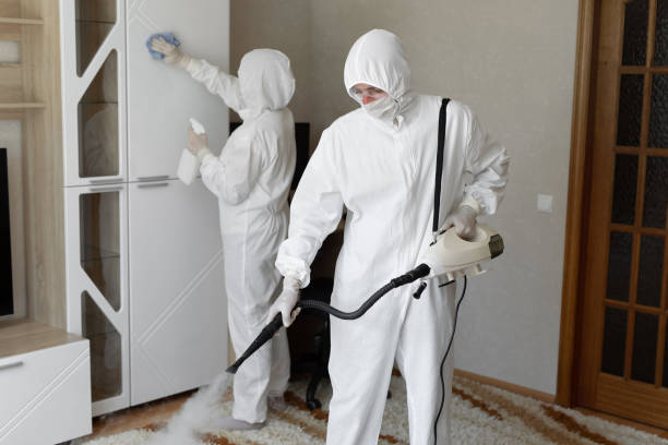 Best Commercial Mold Removal  in Des Allemands, LA